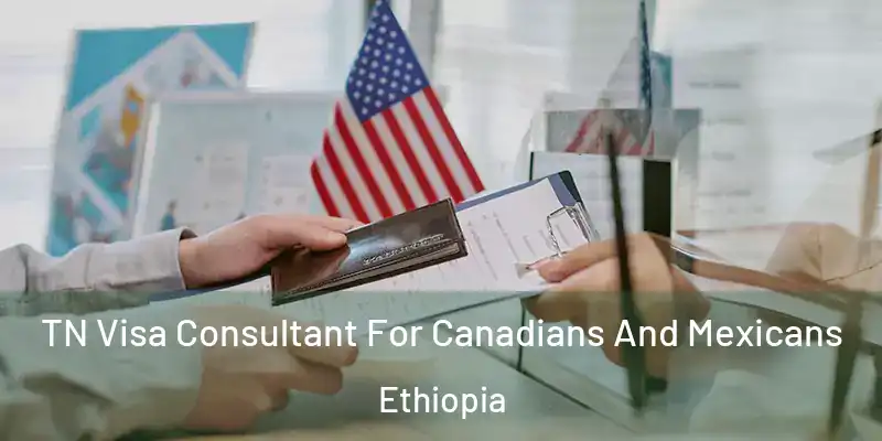  TN Visa Consultant For Canadians And Mexicans Ethiopia